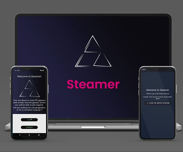 interface de l’application Steamer connectée à l’API Steam permettant de mettre en relation des joueurs selon leurs activités récentes